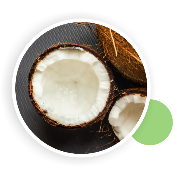 Coconut