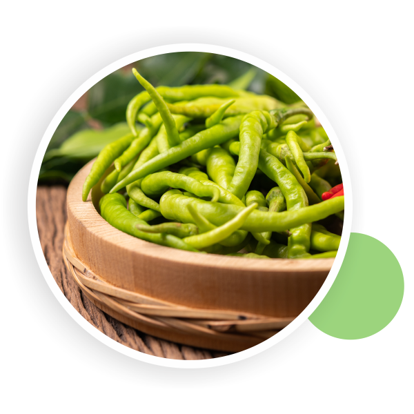 Green Chilli