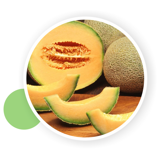 Muskmelon