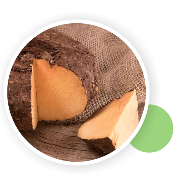 Suran / Elephant’s Foot Yam