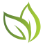 leaf icon