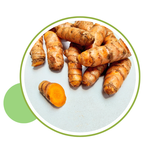 Turmeric Fingers