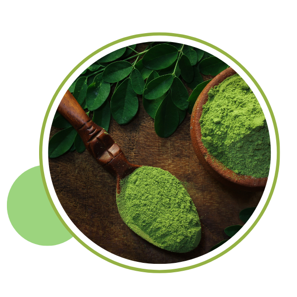 Moringa Powder
